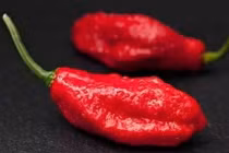 Những bệnh lý từ căn nguyên không ngờ