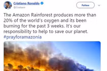 Loạt sao bị tố 'sống ảo' vì đăng nhầm ảnh về vụ cháy rừng Amazon