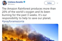 Loạt sao bị tố 'sống ảo' vì đăng nhầm ảnh về vụ cháy rừng Amazon