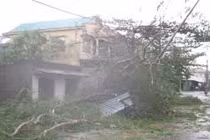 Bão số 15 cách bờ biển Phú Yên - Bình Thuận 230 km