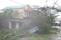 Bão số 15 cách bờ biển Phú Yên - Bình Thuận 230 km