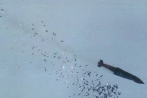 Đài Loan sắp sản xuất “vũ khí diệt sân bay” Trung Quốc