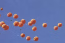 Trung Quốc “sao chép” ý tưởng mìn bay của Việt Nam?