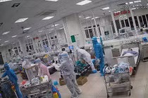 11 ca COVID-19 nguy kịch tại Hà Nội được cứu sống