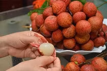 Ăn vải thiều nên tránh những thời điểm này nếu không muốn rước họa