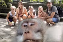 Bất ngờ khỉ chụp ảnh “tự sướng” ấn tượng như người