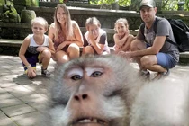 Bất ngờ khỉ chụp ảnh “tự sướng” ấn tượng như người