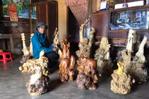 Kiếm tiền "như nước" từ gốc cà phê cổ thụ u bướu