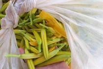 Loại hoa bán nửa triệu/kg, bà nội trợ đua nhau mua