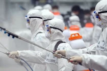 "Tôi xin lỗi vì nói dối và khiến dịch bệnh lây ra cộng đồng"