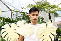 Thú chơi xa xỉ nhà giàu Việt: Chi trăm tỷ mua… 1 chiếc lá