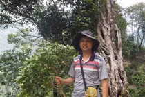 Nhà thực vật học kể chuyện đi “săn” loài mới cho khoa học