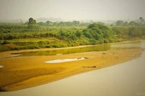 Hoàng Cầm vừa khóc vừa sáng tác Bên kia sông Đuống?