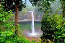 Choáng ngợp báu vật độc nhất vô nhị ở công viên địa chất Đắk Nông