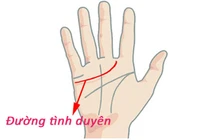 Nắm tay lại nhìn vào đường vân biết trước tài lộc, tình duyên 