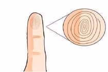 Nhìn ngón út biết tương lai giàu sang, hay lận đận cả đời