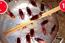 Không hóa chất, bằng cách này bạn dễ dàng "thổi bay" gián khỏi nhà