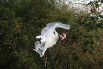 7 bộ ảnh cưới đẹp gây rùng mình nhất năm 2014