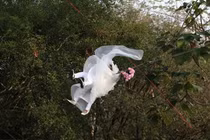 7 bộ ảnh cưới đẹp gây rùng mình nhất năm 2014