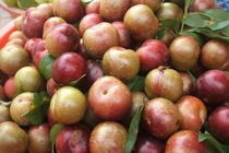 Giật mình với tác hại bất ngờ của quả mận