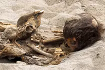 Phát hiện mộ những đứa trẻ bị móc tim để tế thần