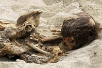 Phát hiện mộ những đứa trẻ bị móc tim để tế thần