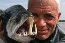 Những “thủy quái ăn thịt người” mà Jeremy Wade bắt được