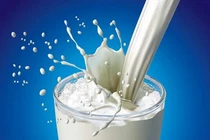 Chọn sữa cho bé 7 tuổi và 4 tuổi