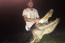 Chàng trai dùng mưu hạ gục cá sấu khổng lồ