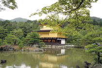 Chuyện lạ lùng ghi ở nước Nhật