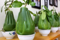 Bưởi bàn tay Phật: Hàng độc, giá có cao?