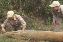 Nhìn từ vụ nổ ở Khánh Hòa, làm gì khi phát hiện bom, mìn?