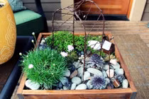 Ý tưởng bất ngờ trang trí nội thất nhà với cây xanh