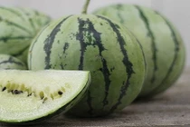 Khách Hà Nội lùng dưa hấu ruột trắng giá chát 