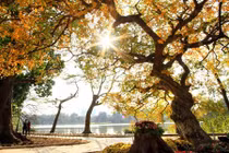 Thời tiết hôm nay: Hà Nội duy trì mức nhiệt 22-25 độ C