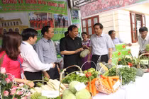 Trò chuyện với giám đốc nông dân buôn rau đi 7 quốc gia