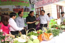 Trò chuyện với giám đốc nông dân buôn rau đi 7 quốc gia