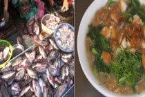 “Chiêu độc” phù phép cá ươn, cá thối thành món ngon kiếm lời