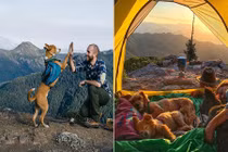 Giới trẻ “phát sốt” với trào lưu cắm trại với cún cưng