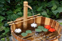 9 cách chống nóng cực hữu hiệu cho nhà chật hẹp