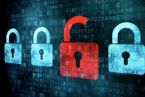 Hàng trăm website của Việt Nam bị hacker tấn công 