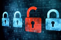 Hàng trăm website của Việt Nam bị hacker tấn công 