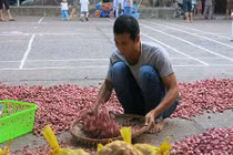 Tỏi Lý Sơn cháy hàng lấy đâu 300 tấn ế ở Hà Nội?