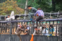 Liều mạng sống, đuổi xe tải trèo mót dưa ở cửa khẩu