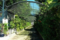 Sân vườn đẹp lung linh của nhà sao Việt