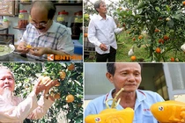 Tuyệt chiêu kinh doanh hốt bạc của đại gia Việt chơi ngông