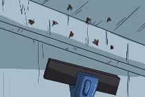 Dùng máy hút bụi.. diệt côn trùng gây bệnh