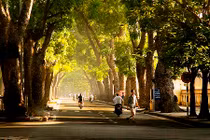 Bớt giá rét, Hà Nội tăng nhiệt chóng mặt vào cuối tuần