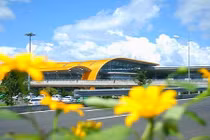 Ngất ngây ngắm sân bay Đà Lạt ngập tràn hoa dã quỳ