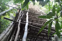 Cụ ông 40 năm dựng “lâu đài” 10 tầng để nghe chim hót